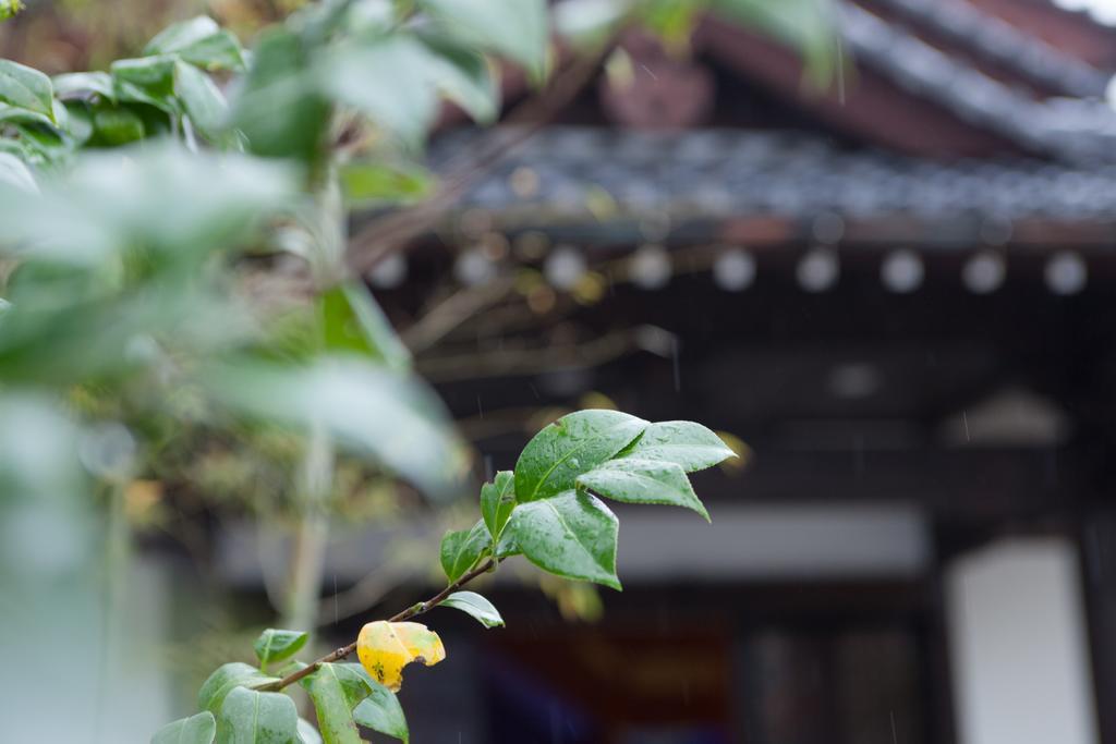 Kashoen Hanare Kai Kyōtango Exterior foto